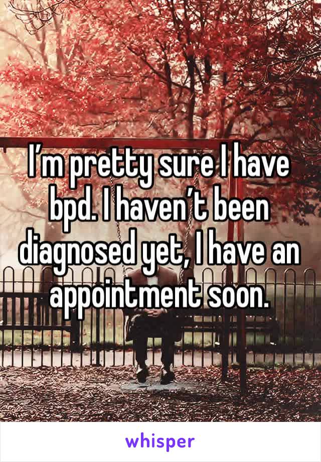 I’m pretty sure I have bpd. I haven’t been diagnosed yet, I have an appointment soon. 