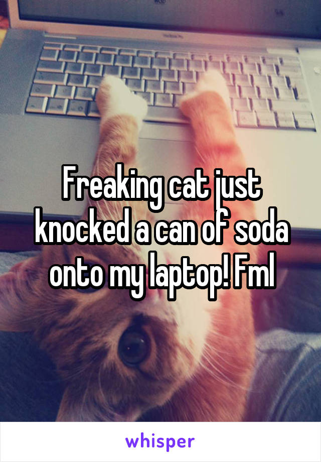 Freaking cat just knocked a can of soda onto my laptop! Fml
