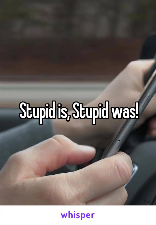 Stupid is, Stupid was!