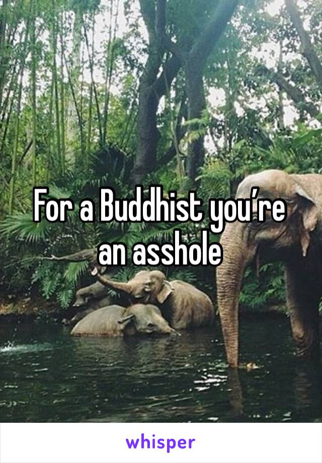 For a Buddhist you’re an asshole 