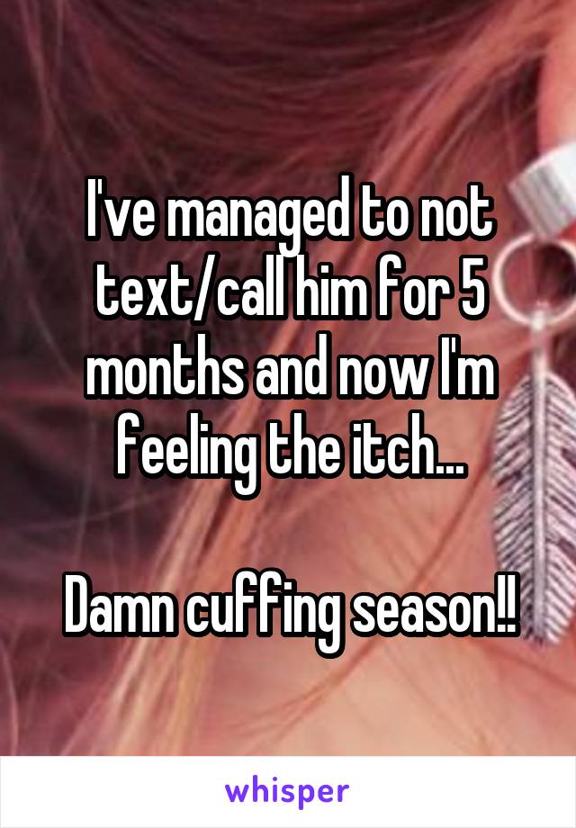 I've managed to not text/call him for 5 months and now I'm feeling the itch...

Damn cuffing season!!