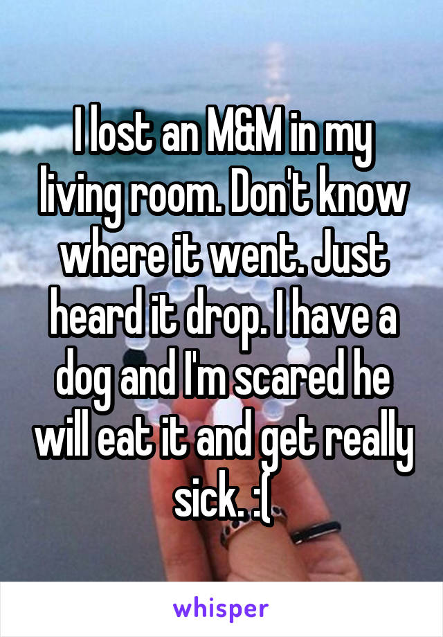 I lost an M&M in my living room. Don't know where it went. Just heard it drop. I have a dog and I'm scared he will eat it and get really sick. :(