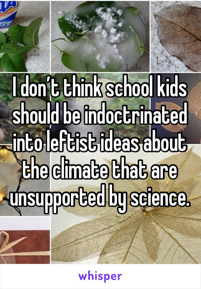 I don’t think school kids should be indoctrinated into leftist ideas about the climate that are unsupported by science.   
