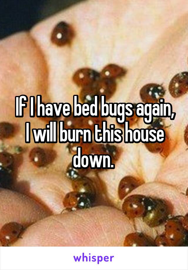 If I have bed bugs again, I will burn this house down. 