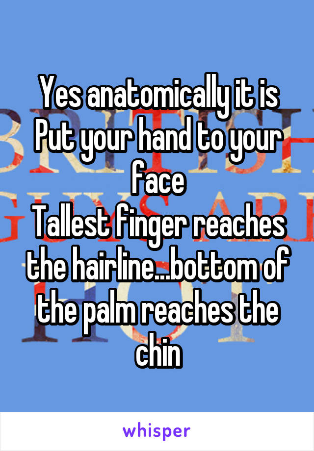 Yes anatomically it is
Put your hand to your face
Tallest finger reaches the hairline...bottom of the palm reaches the chin