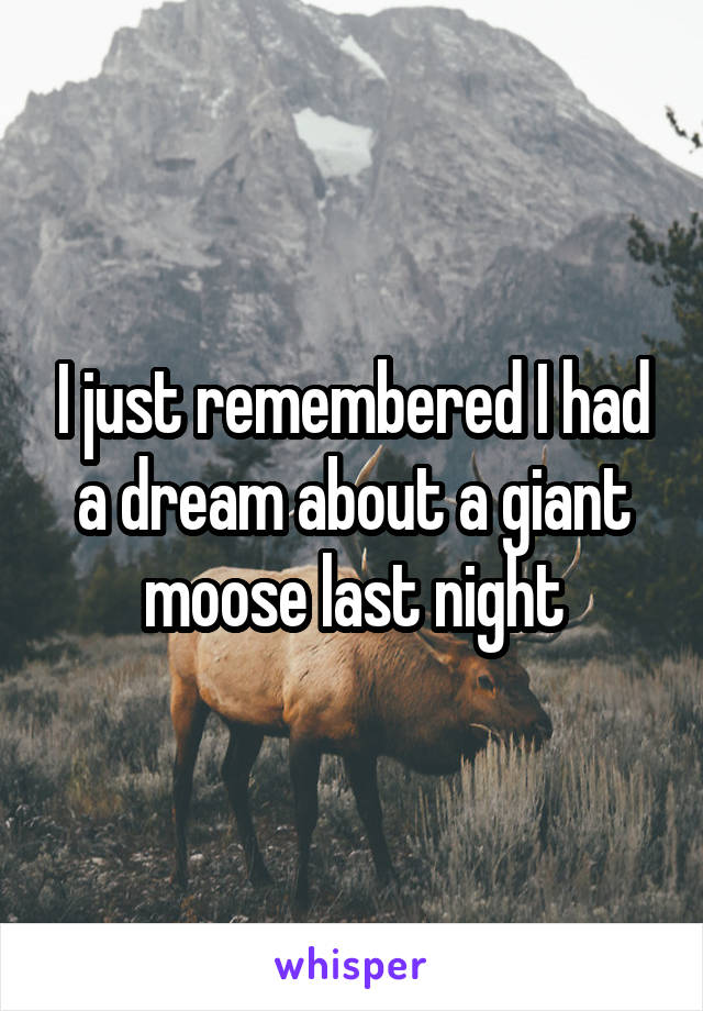 I just remembered I had a dream about a giant moose last night