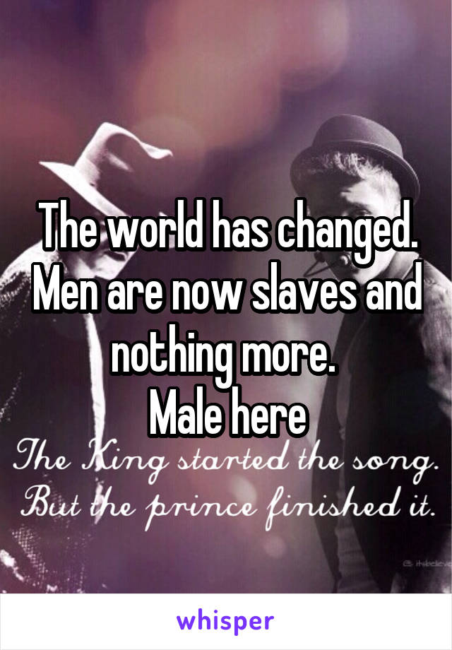 The world has changed. Men are now slaves and nothing more. 
Male here