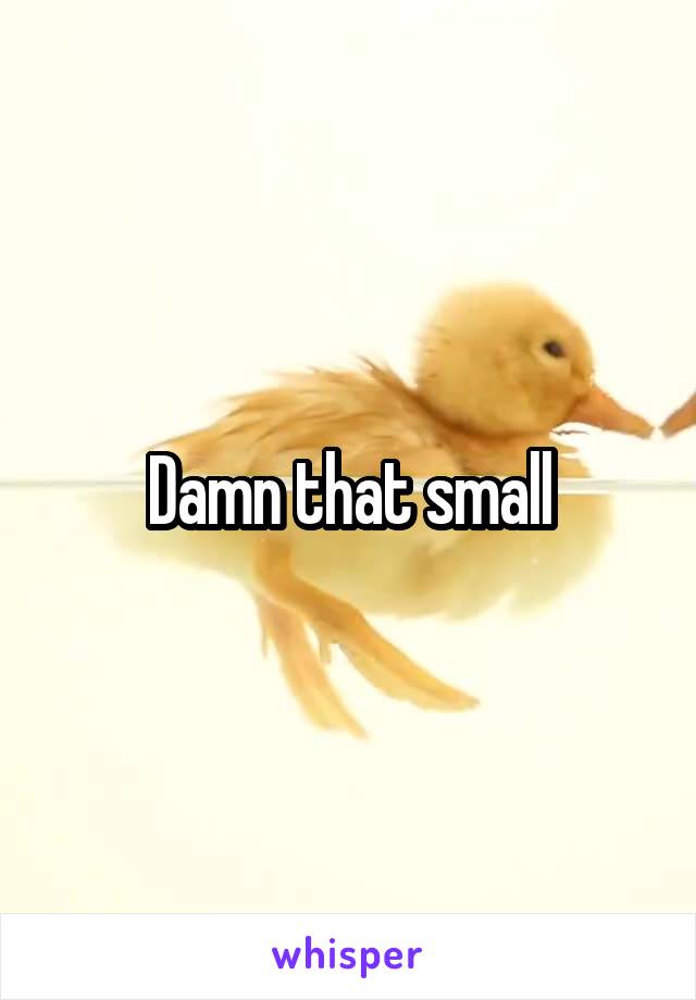 Damn that small