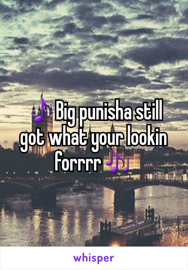 🎵Big punisha still got what your lookin forrrr🎶
