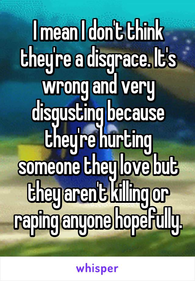 I mean I don't think they're a disgrace. It's wrong and very disgusting because they're hurting someone they love but they aren't killing or raping anyone hopefully. 
