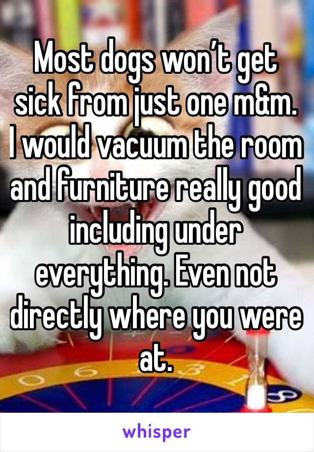 Most dogs won’t get sick from just one m&m. I would vacuum the room and furniture really good including under everything. Even not directly where you were at. 