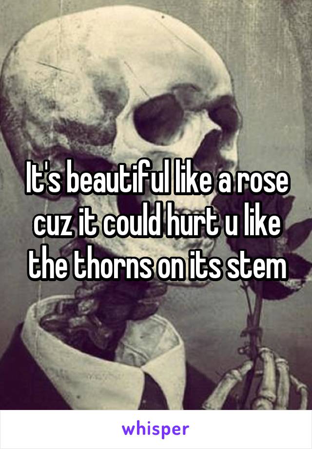 It's beautiful like a rose cuz it could hurt u like the thorns on its stem