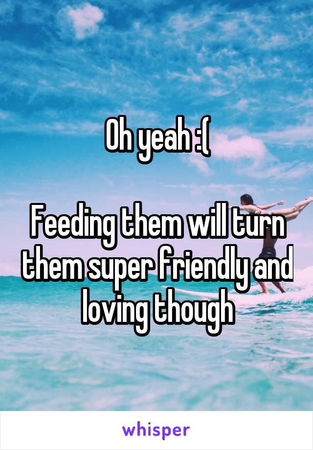 Oh yeah :(

Feeding them will turn them super friendly and loving though