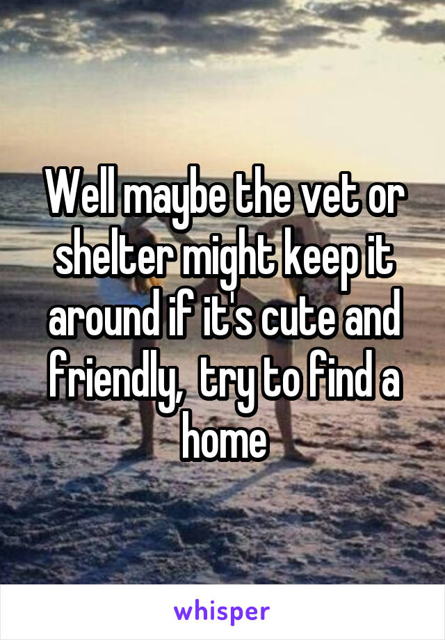 Well maybe the vet or shelter might keep it around if it's cute and friendly,  try to find a home