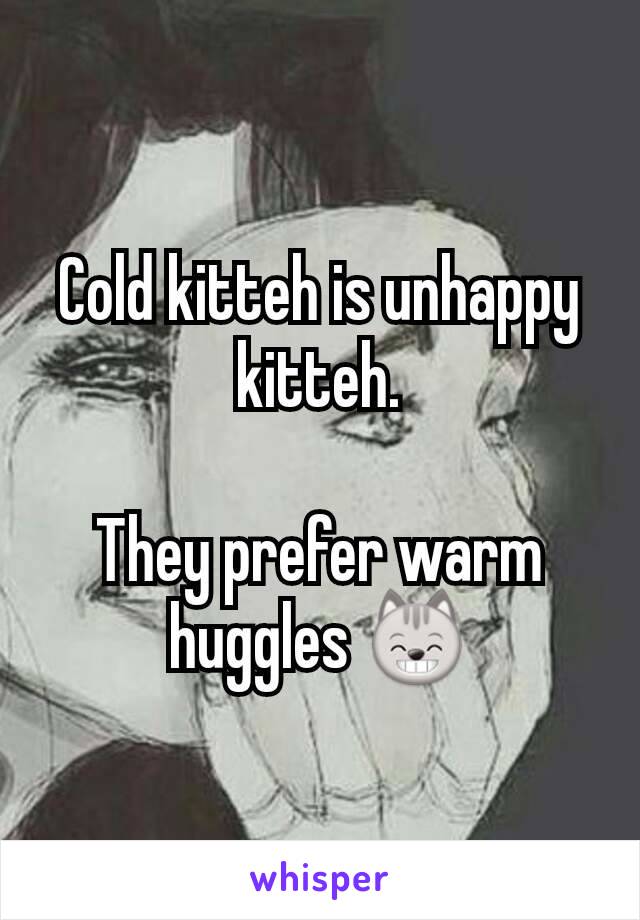 Cold kitteh is unhappy kitteh.

They prefer warm huggles 😸