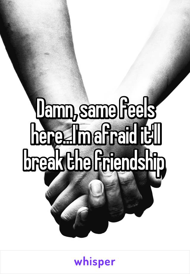 Damn, same feels here...I'm afraid it'll break the friendship 