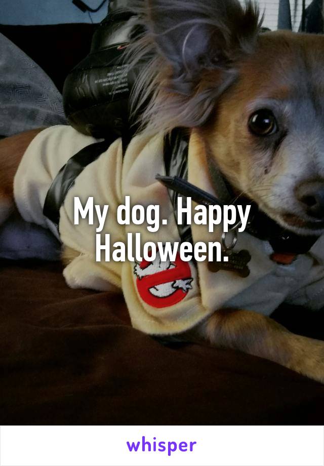 My dog. Happy Halloween.