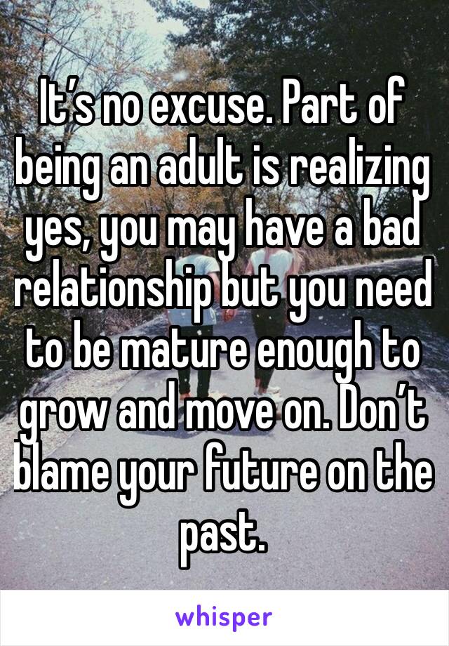 It’s no excuse. Part of being an adult is realizing yes, you may have a bad relationship but you need to be mature enough to grow and move on. Don’t blame your future on the past.
