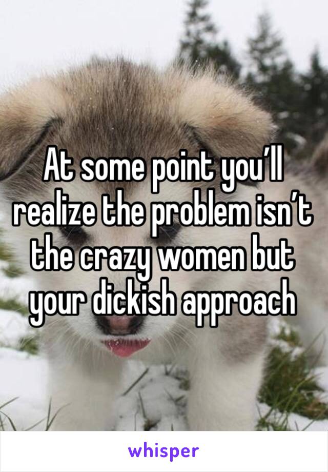 At some point you’ll realize the problem isn’t the crazy women but your dickish approach 