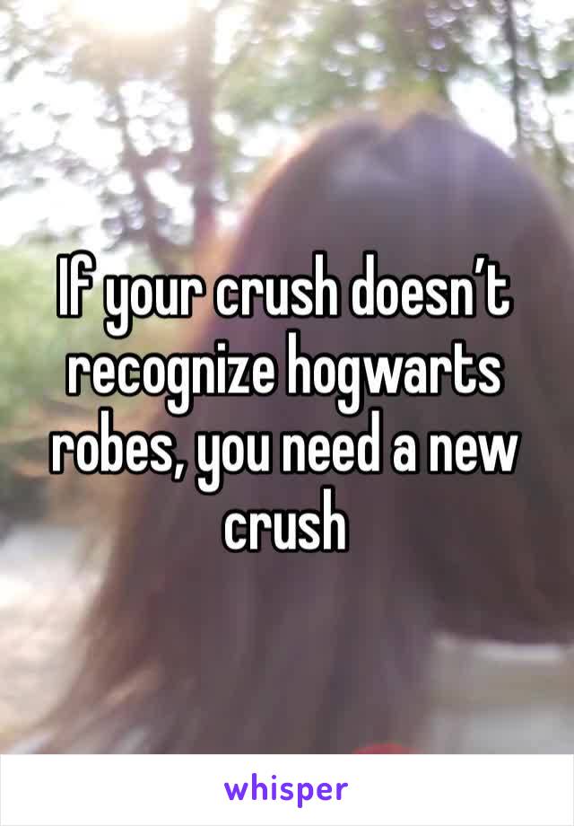 If your crush doesn’t recognize hogwarts robes, you need a new crush