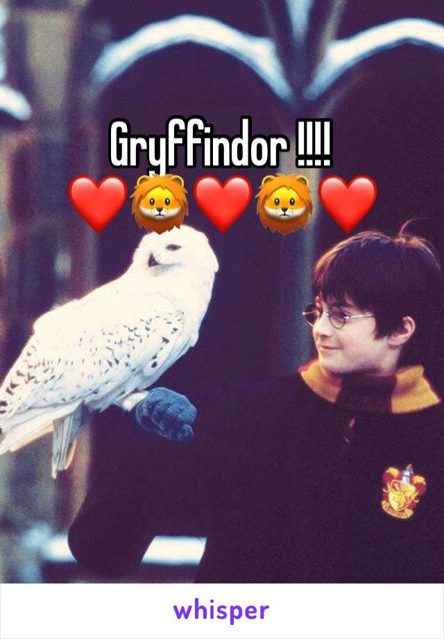 Gryffindor !!!!   
❤️🦁❤️🦁❤️