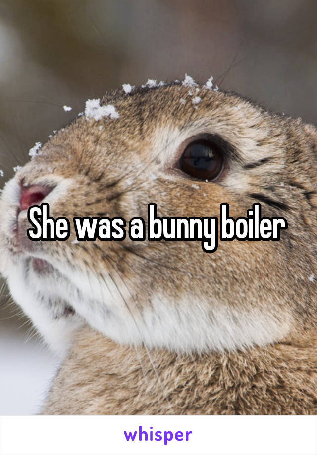 She was a bunny boiler 