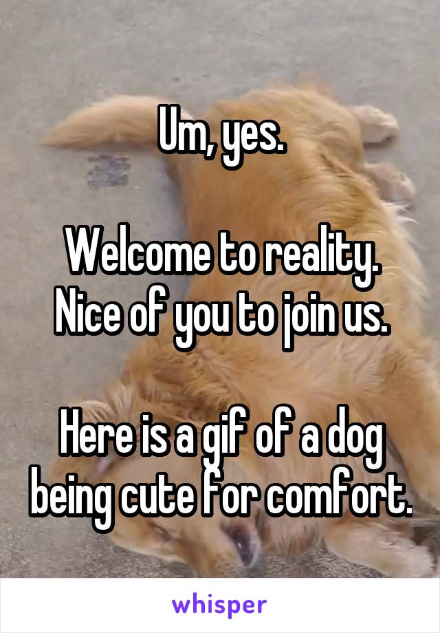 Um, yes.

Welcome to reality.
Nice of you to join us.

Here is a gif of a dog being cute for comfort.