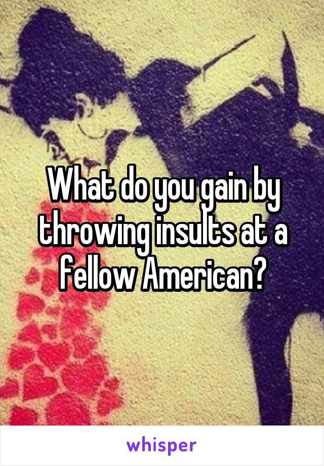 What do you gain by throwing insults at a fellow American?