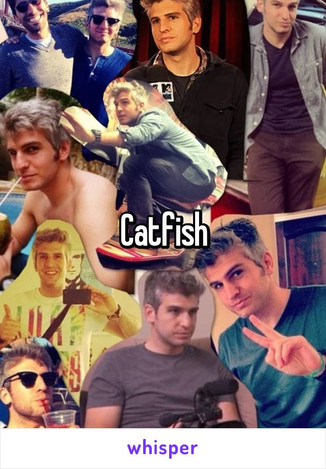  Catfish 