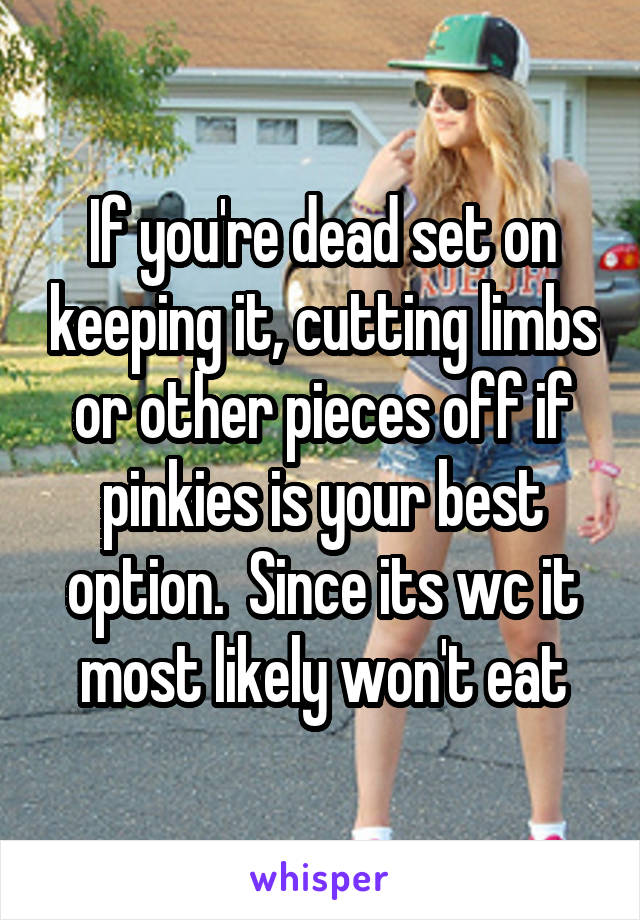 If you're dead set on keeping it, cutting limbs or other pieces off if pinkies is your best option.  Since its wc it most likely won't eat