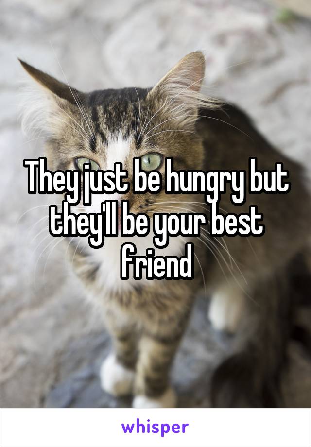 They just be hungry but they'll be your best friend