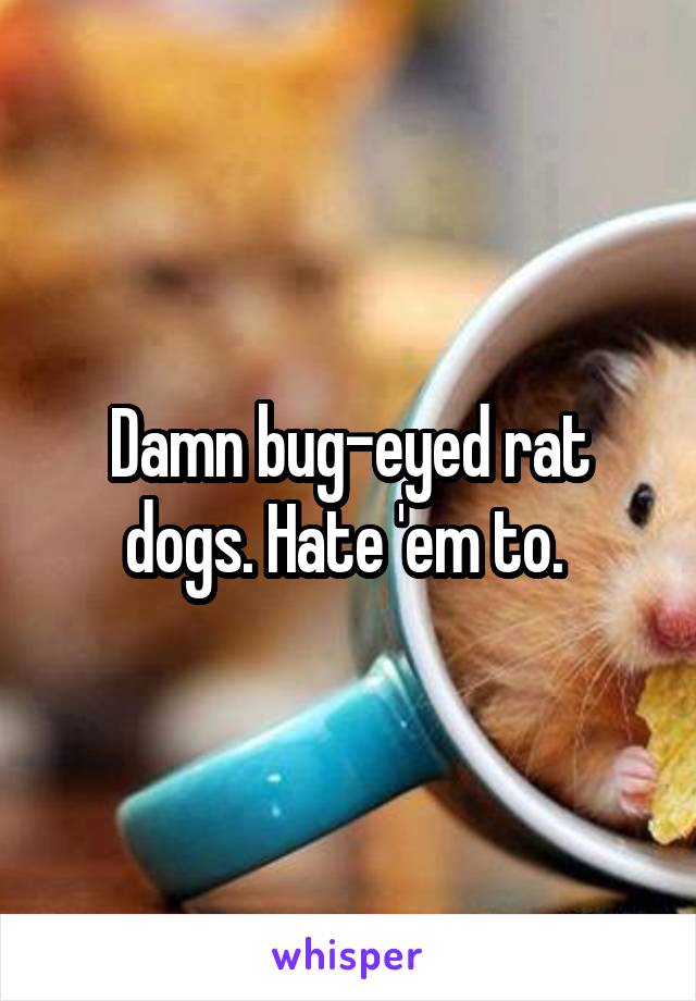 Damn bug-eyed rat dogs. Hate 'em to. 