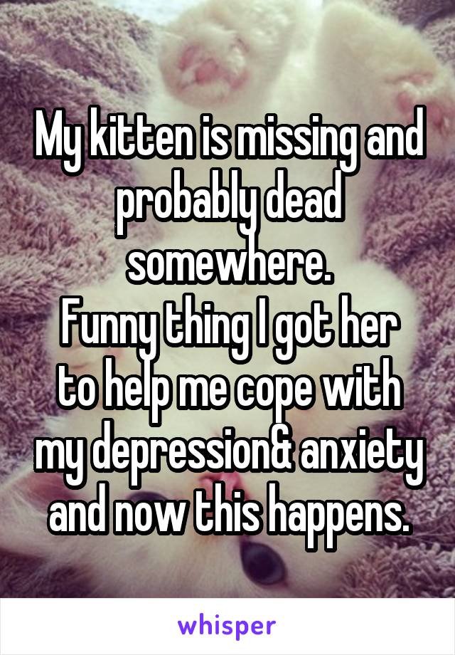 My kitten is missing and probably dead somewhere.
Funny thing I got her to help me cope with my depression& anxiety and now this happens.