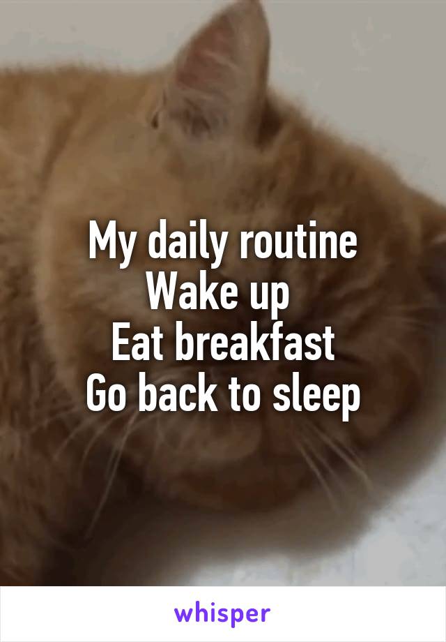 My daily routine
Wake up 
Eat breakfast
Go back to sleep
