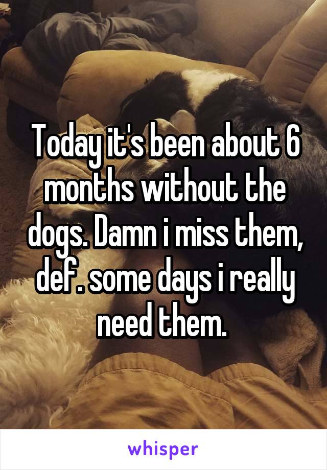 Today it's been about 6 months without the dogs. Damn i miss them, def. some days i really need them. 