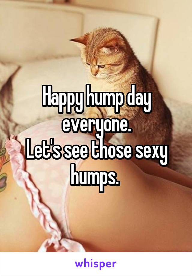 Happy hump day everyone.
Let's see those sexy humps. 