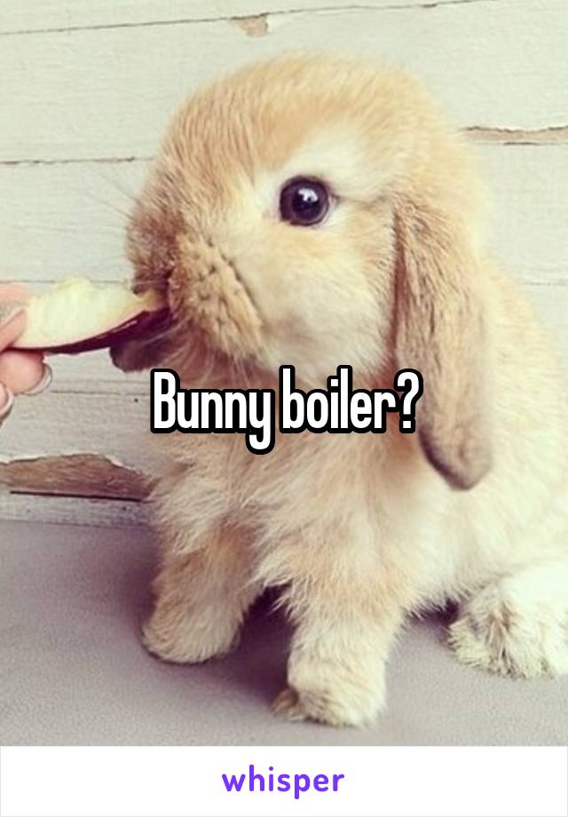 Bunny boiler?