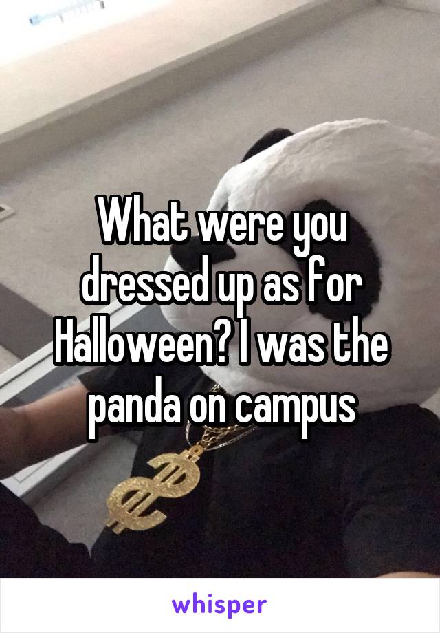 What were you dressed up as for Halloween? I was the panda on campus