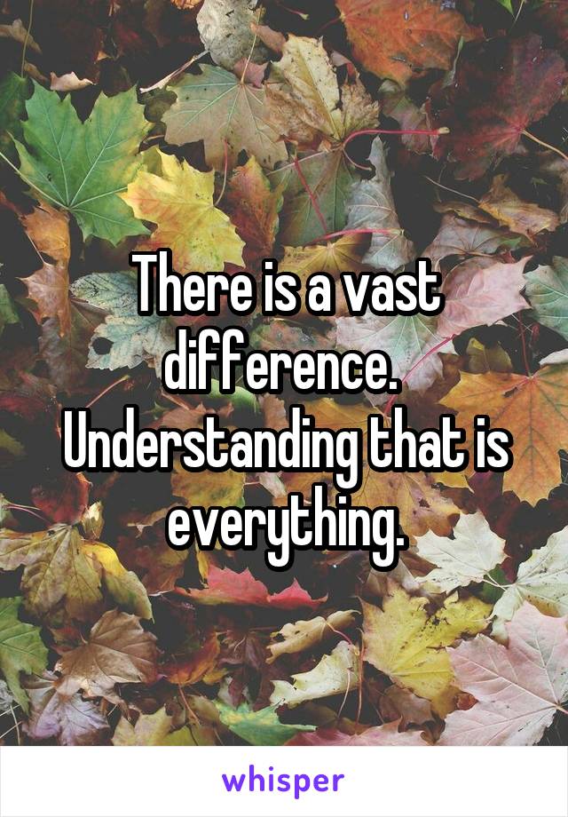 There is a vast difference.  Understanding that is everything.