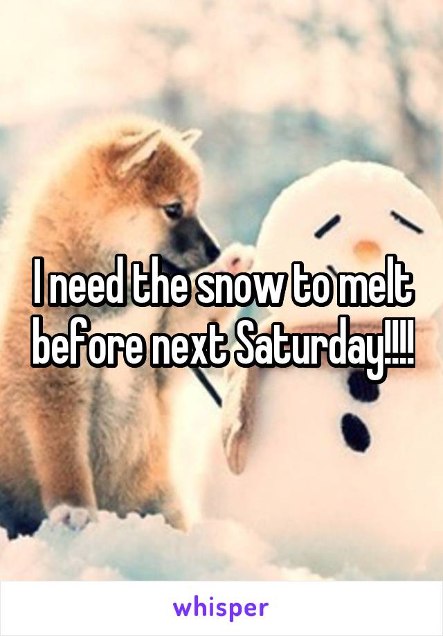 I need the snow to melt before next Saturday!!!!