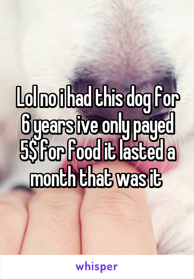 Lol no i had this dog for 6 years ive only payed 5$ for food it lasted a month that was it 