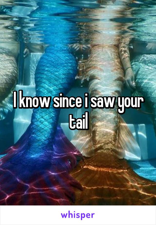I know since i saw your tail