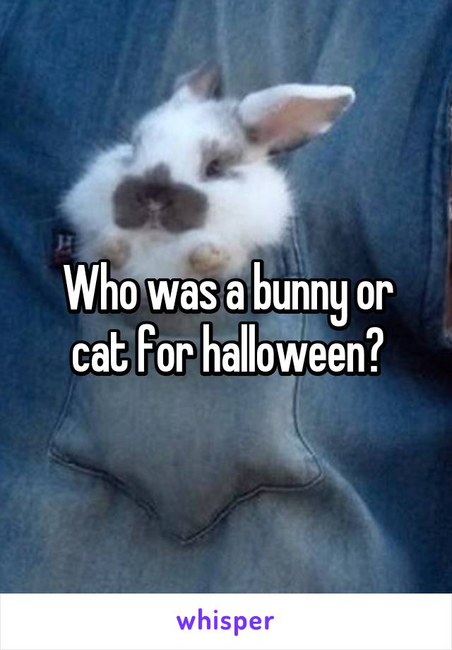Who was a bunny or cat for halloween?