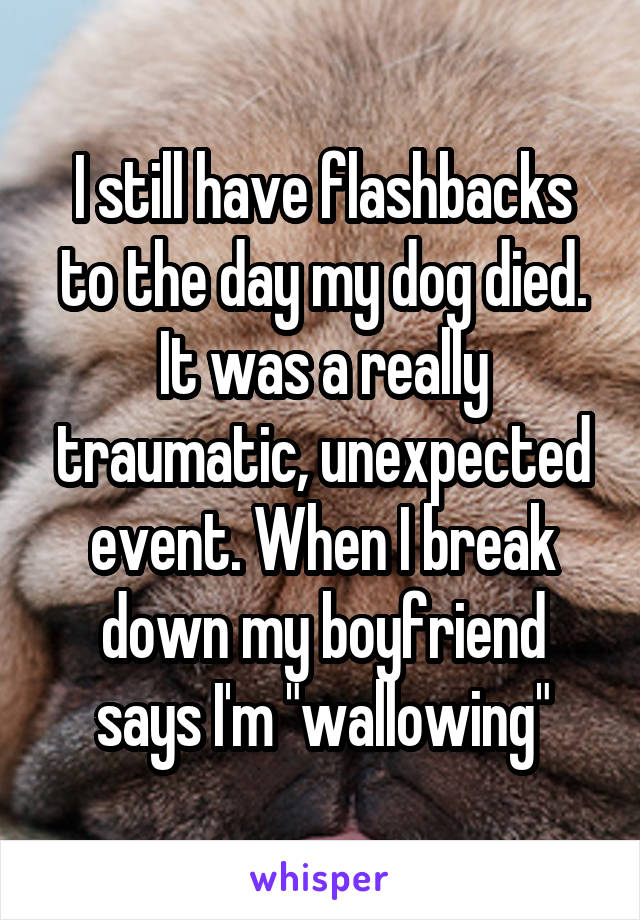 I still have flashbacks to the day my dog died. It was a really traumatic, unexpected event. When I break down my boyfriend says I'm "wallowing"