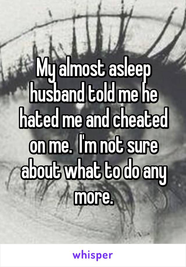 My almost asleep husband told me he hated me and cheated on me.  I'm not sure about what to do any more.