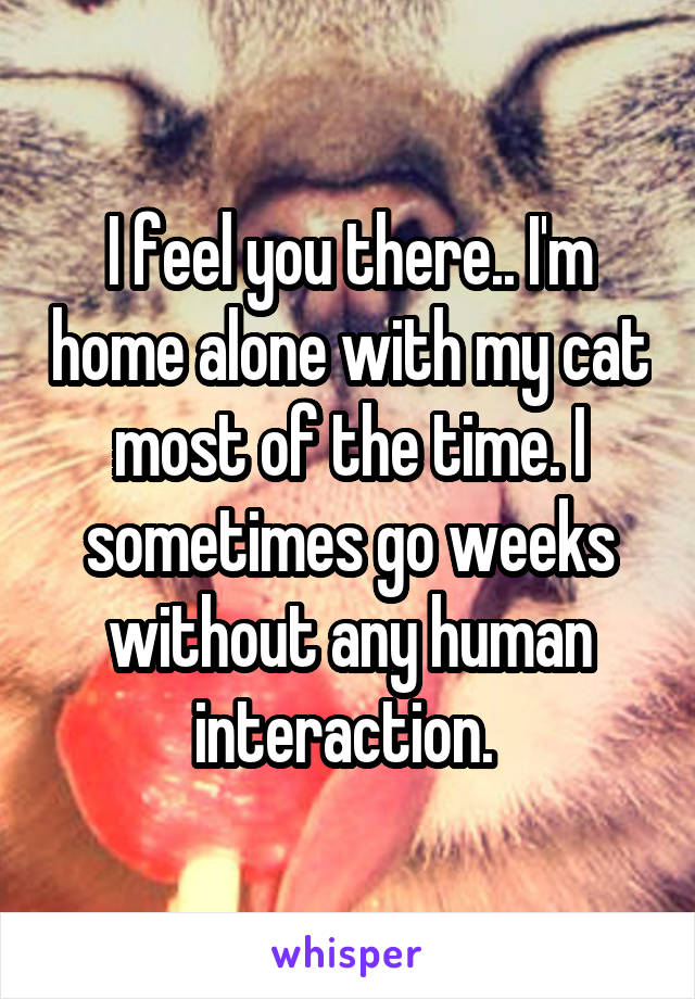 I feel you there.. I'm home alone with my cat most of the time. I sometimes go weeks without any human interaction. 