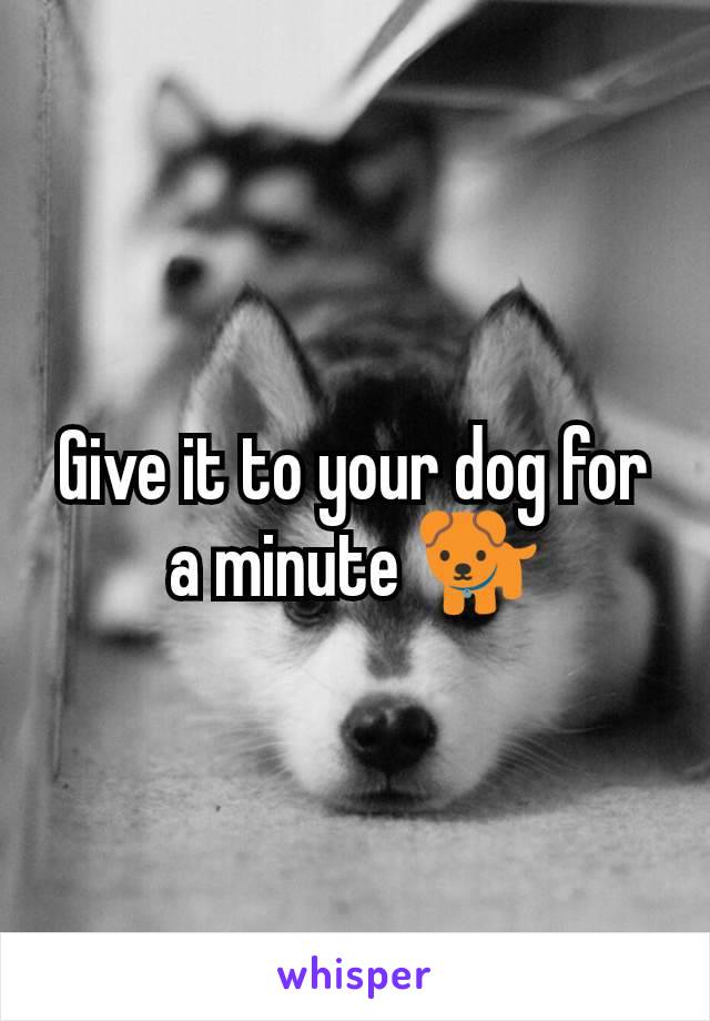 Give it to your dog for a minute 🐕