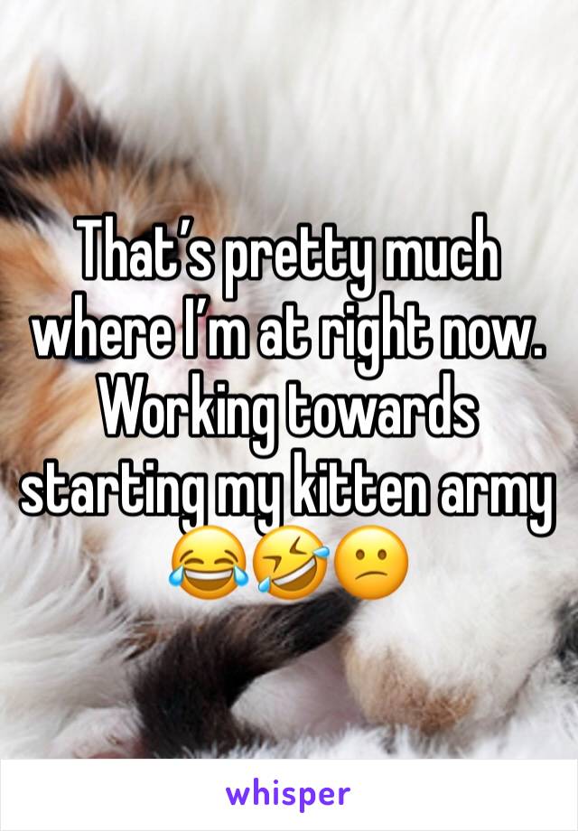 That’s pretty much where I’m at right now. Working towards starting my kitten army 😂🤣😕