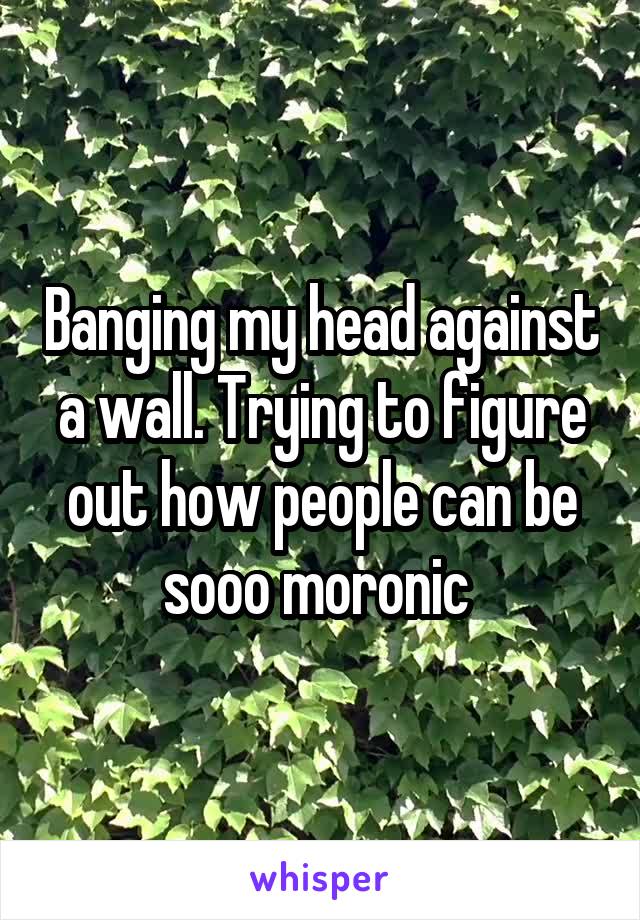Banging my head against a wall. Trying to figure out how people can be sooo moronic 