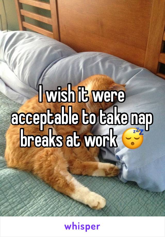 I wish it were acceptable to take nap breaks at work 😴